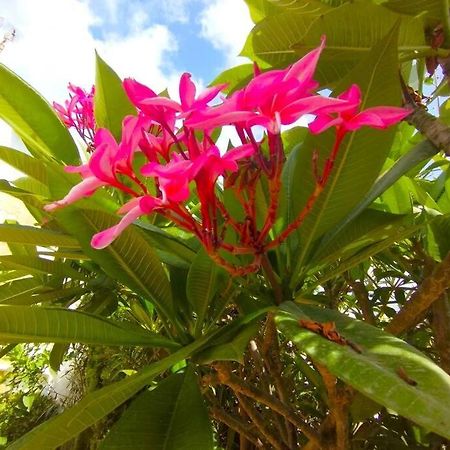 Beautiful 3 Bedroom Townhouse In Urb. Tropicana, Nerja Exterior foto